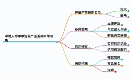 一分钟了解申请人命中中智诚严重逾期名单